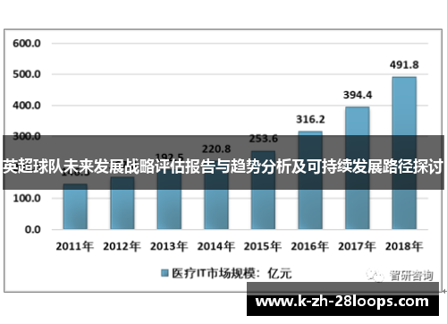 英超球队未来发展战略评估报告与趋势分析及可持续发展路径探讨 英超球队未来发展战略评估报告与趋势分析及可持续发展路径探讨